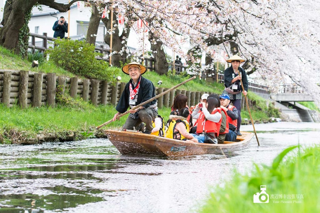 川越桜まつりで新河岸川を往来する和船