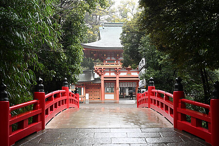【雨の実例】大宮氷川神社お宮参り｜雨のしっとりとした空気感を活かす撮影