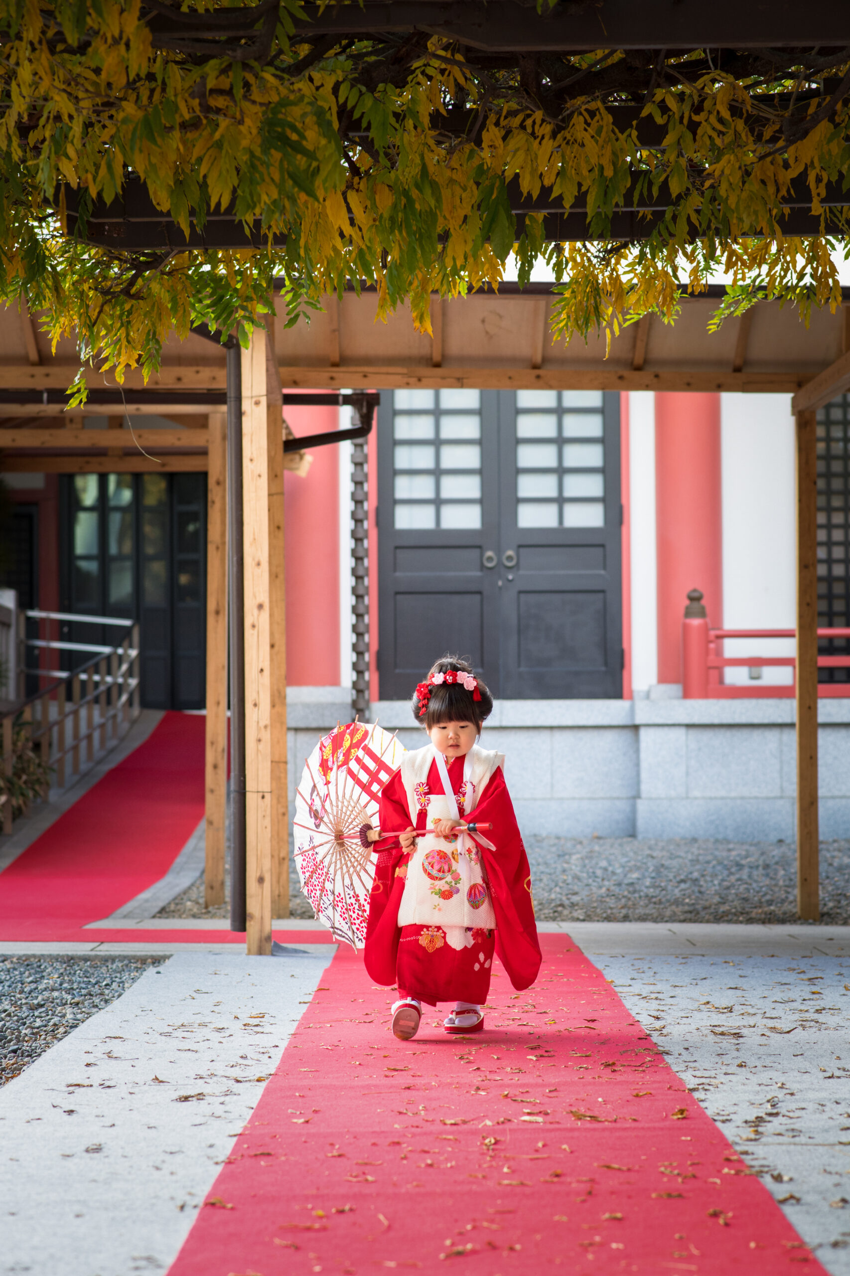 七五三の出張撮影｜存在感ある3歳女の子のPIC｜赤坂日枝神社