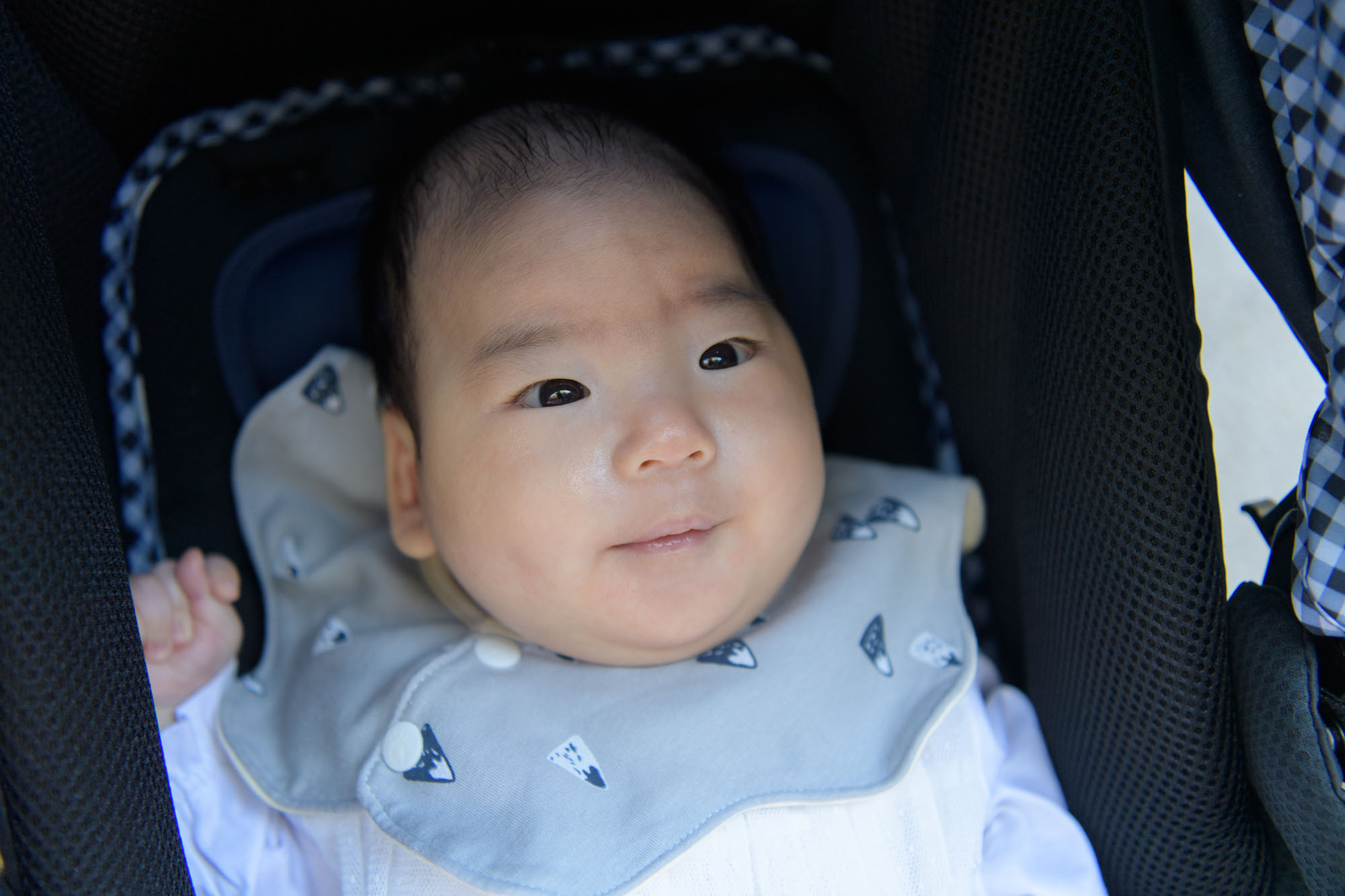 川越氷川神社でお宮参りお姉ちゃんに弟くんができました