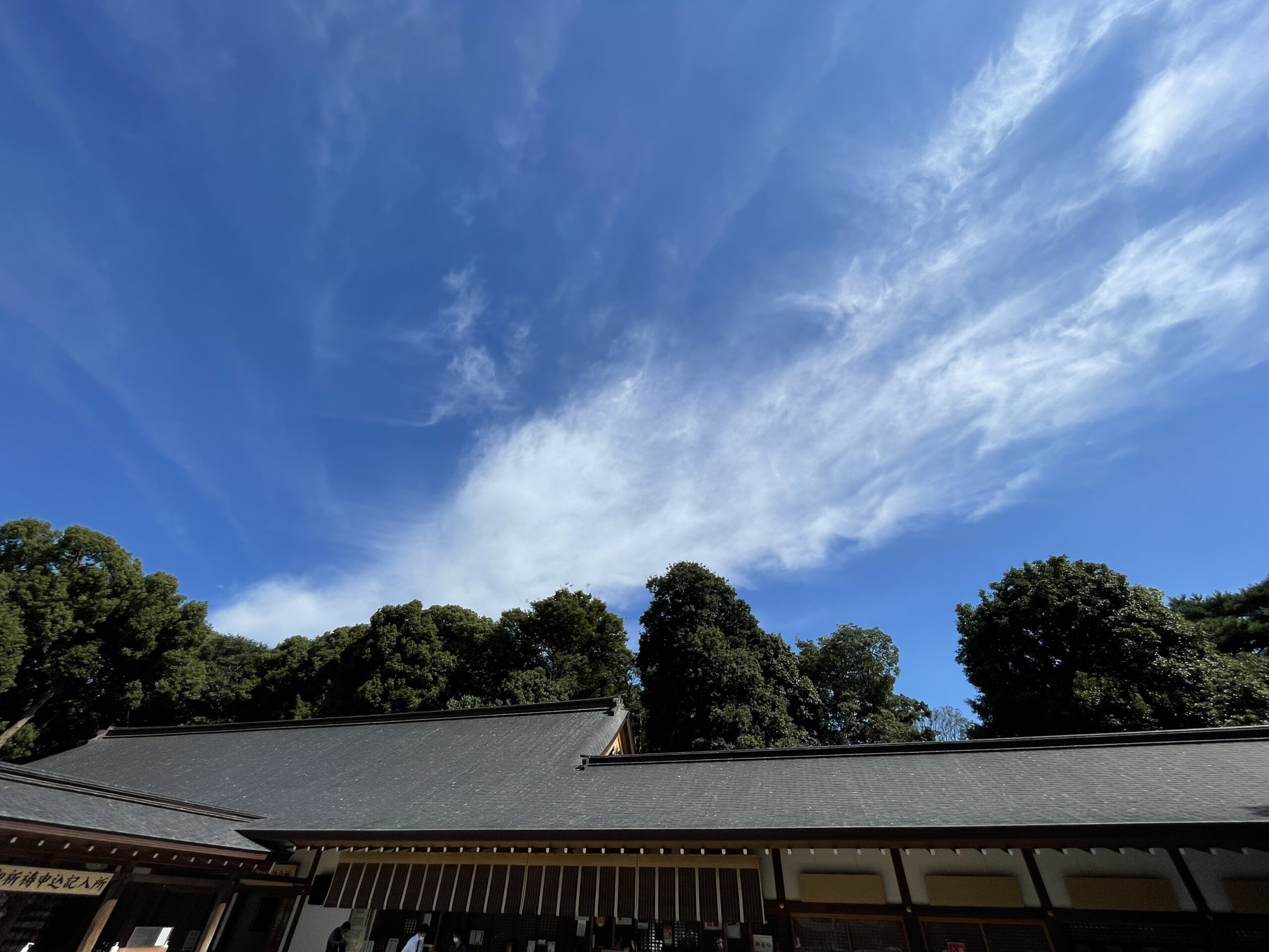 大宮氷川神社の社務所の上に青空が広がっていて、雲が龍のようだ
