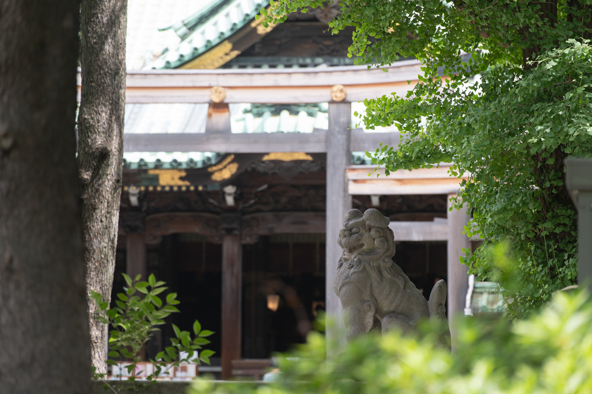 牛嶋神社でお宮参りの写真
