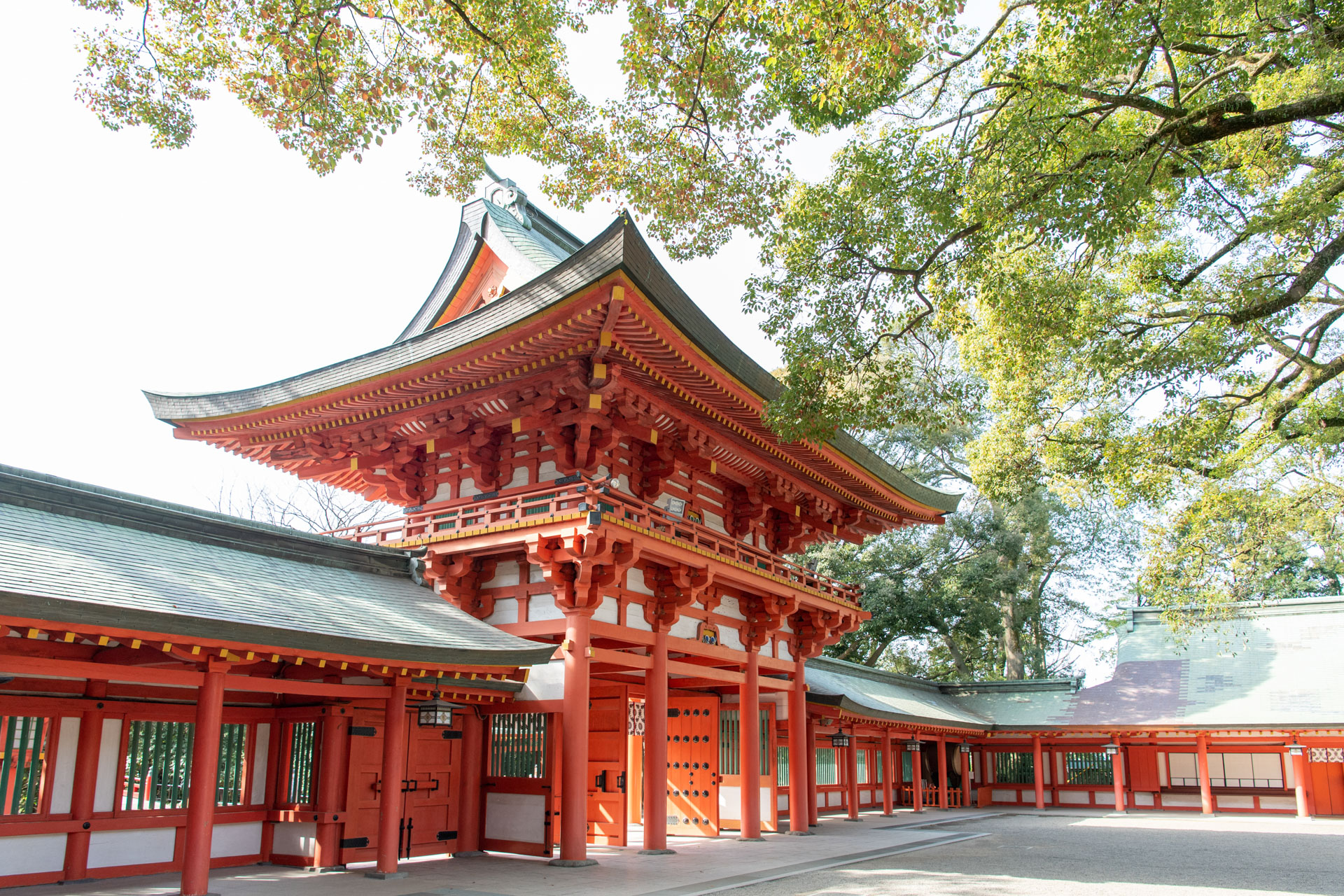 大宮氷川神社でお宮参り｜一の家さんでの食事とスケジュール完全ガイド