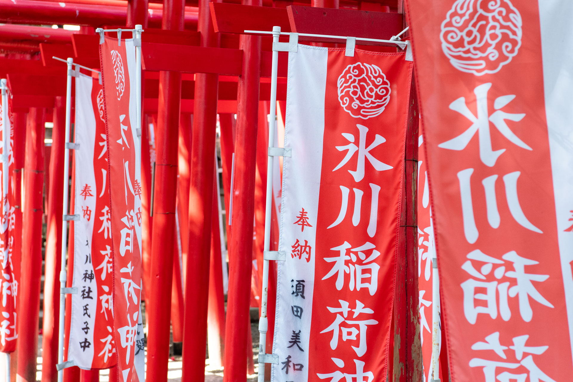 大宮氷川神社でお宮参り｜一の家さんでの食事とスケジュール完全ガイド