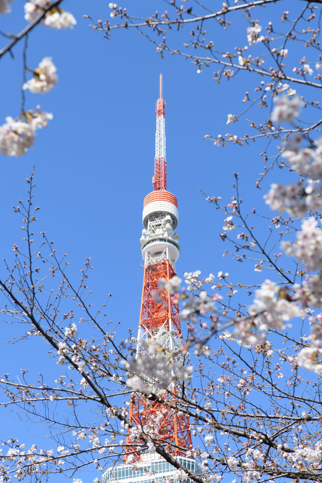 増上寺お宮参り後、とうふ屋うかいでランチとお食い初め