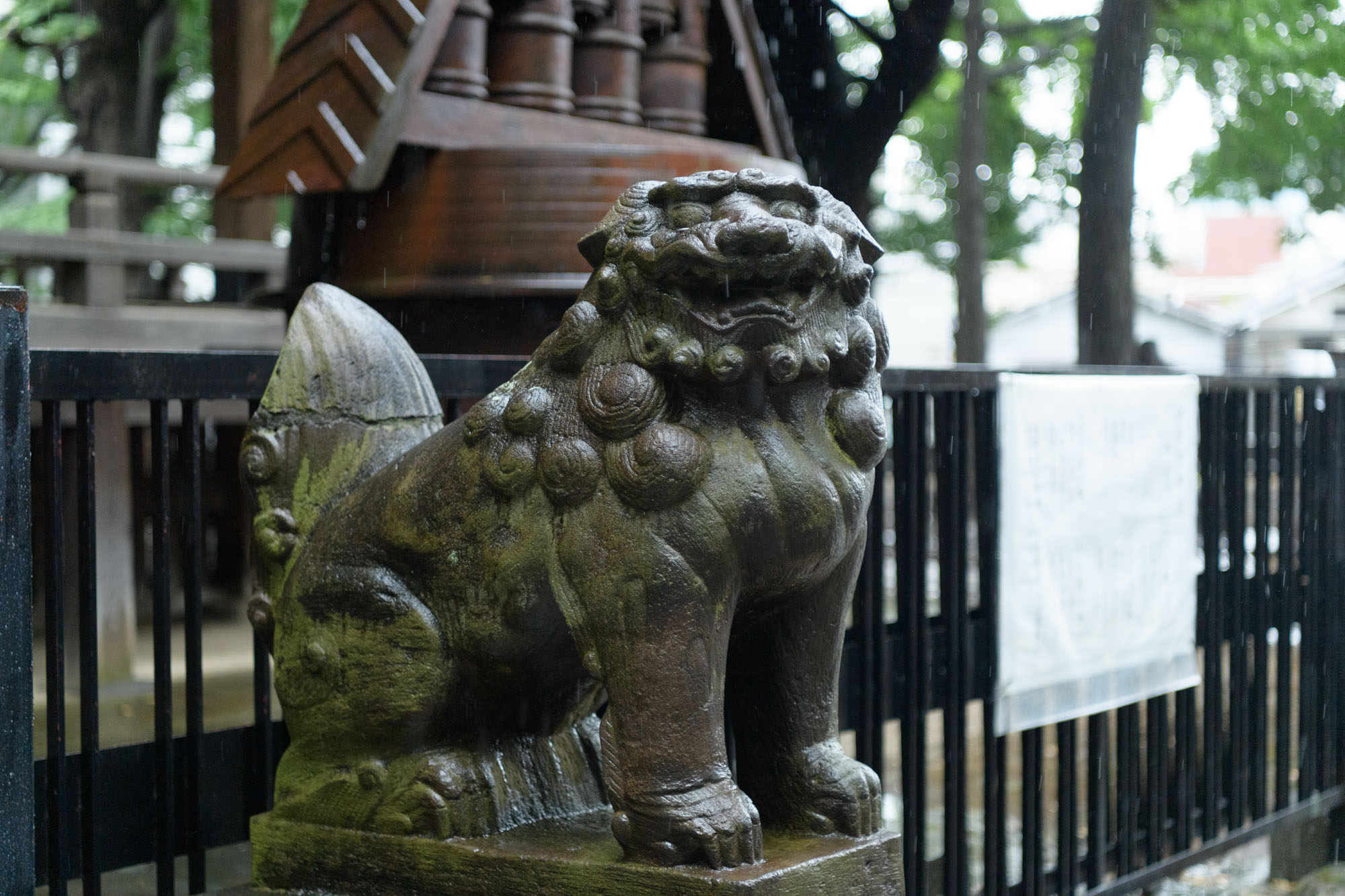 雨の鬼子母神お宮参り写真