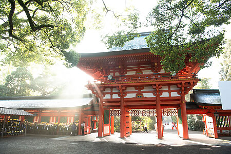 【2024年最新】大宮氷川神社の撮影許可と境内での撮影マナー