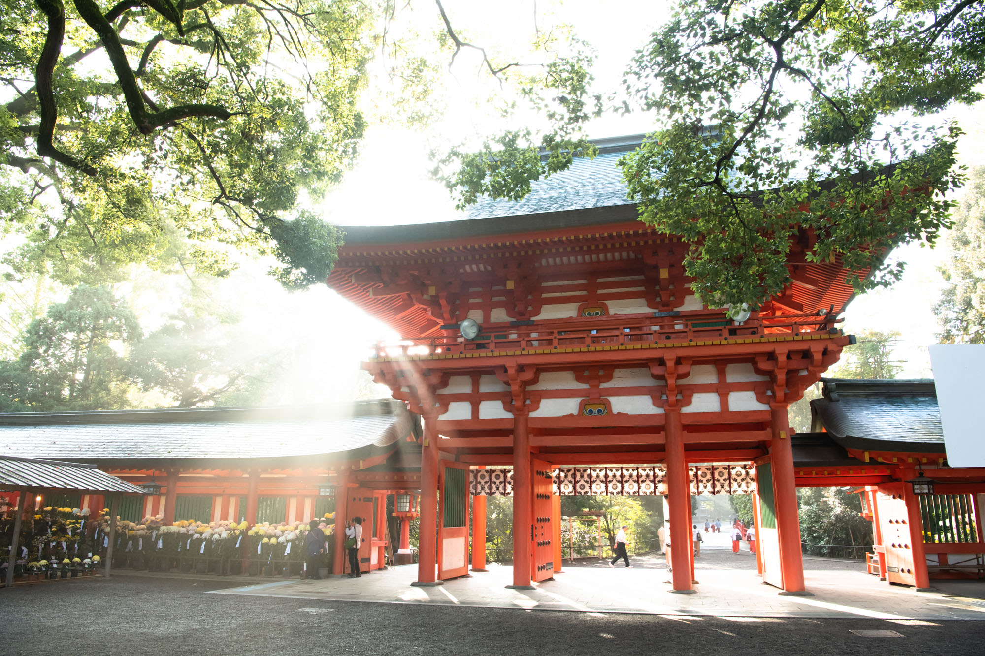 大宮氷川神社のお宮参り写真スポット楼門の写真