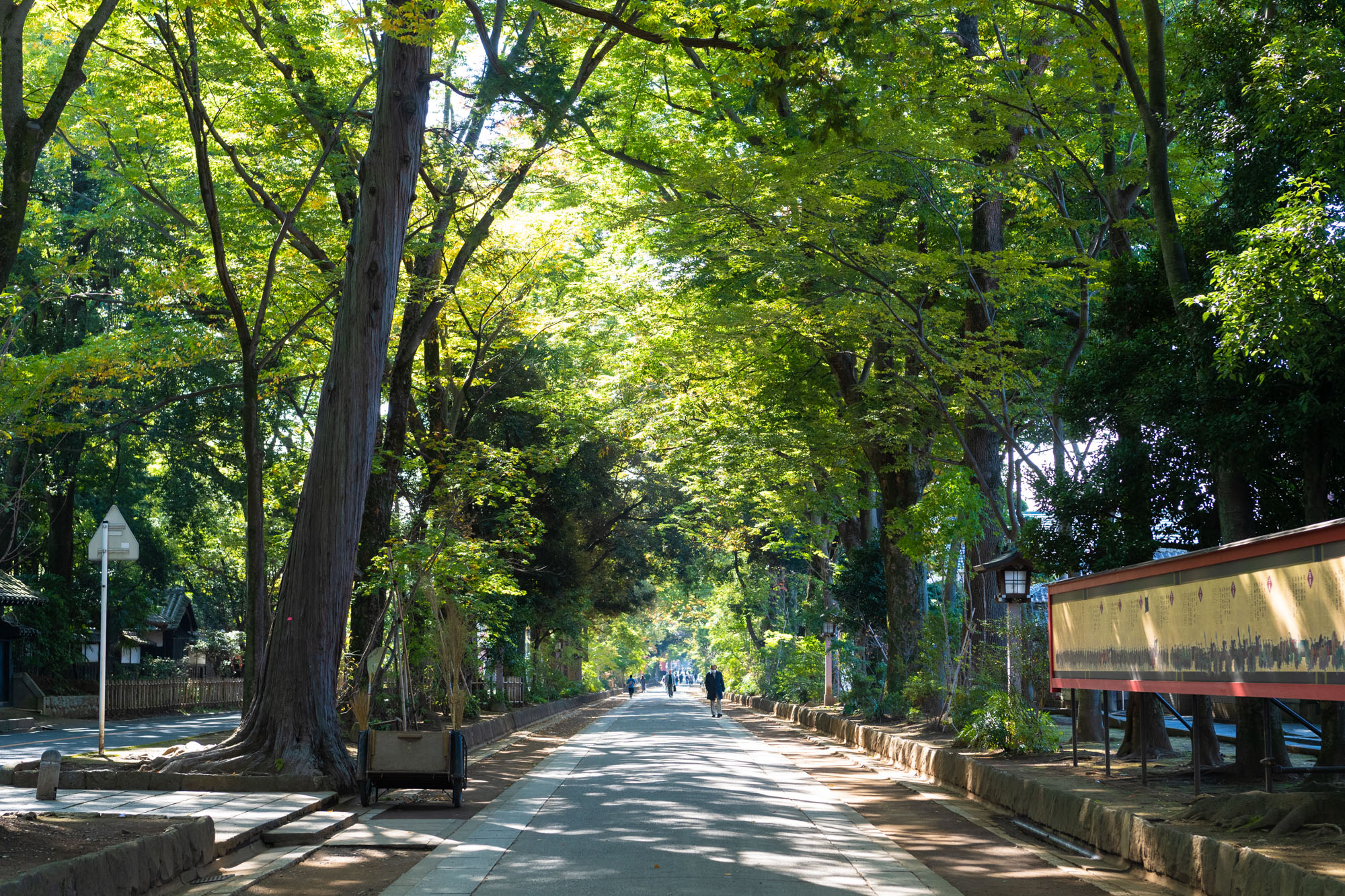 大宮氷川神社のお宮参り写真スポット表参道の写真