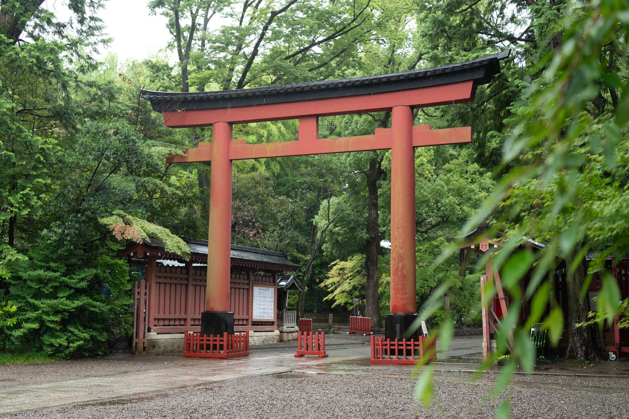 大宮氷川神社のお宮参り写真スポット三の鳥居の写真