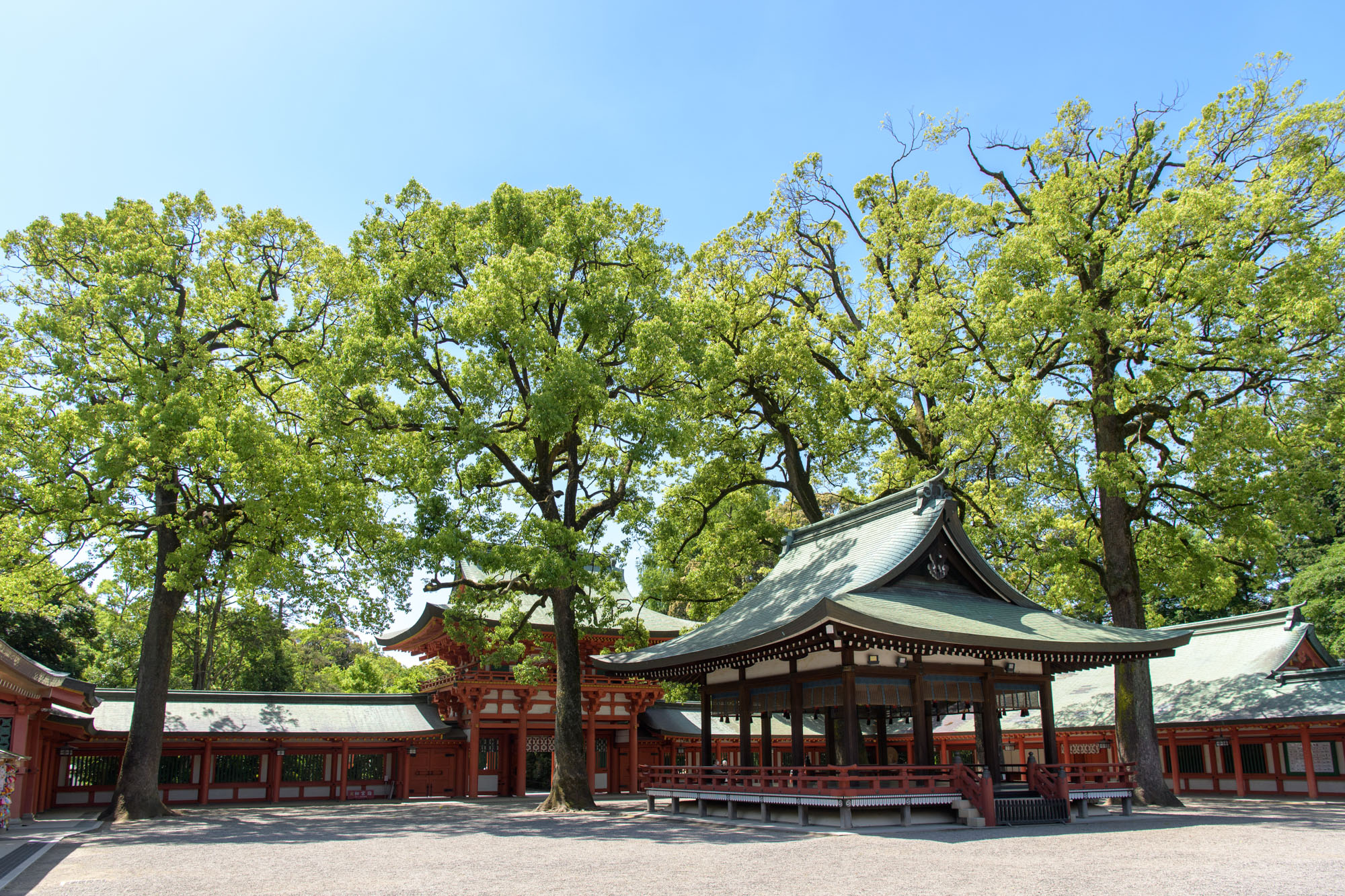 大宮氷川神社のお宮参り写真スポットの写真