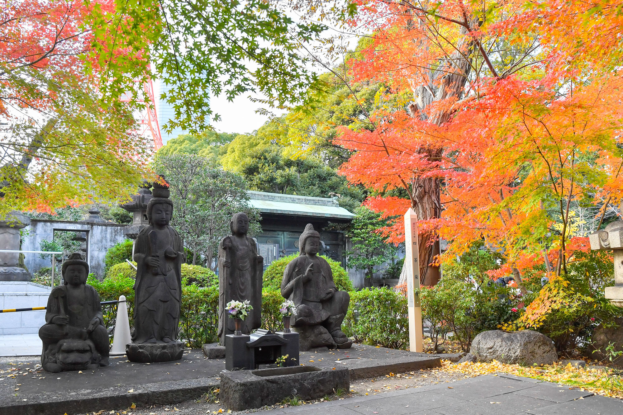 増上寺の紅葉とお宮参り写真