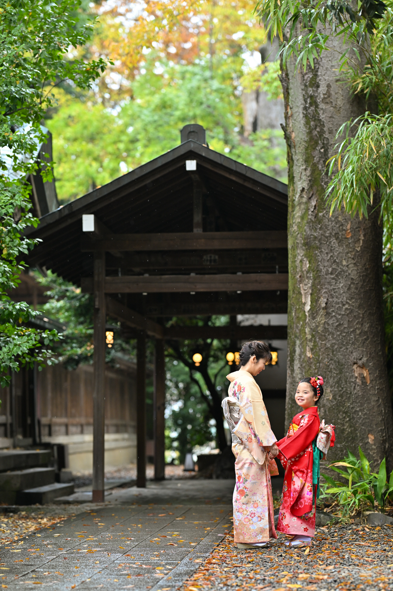 画像 川越氷川神社の大きな木の下で赤い着物の7歳女の子とお母さんが手をつなぐ七五三写真