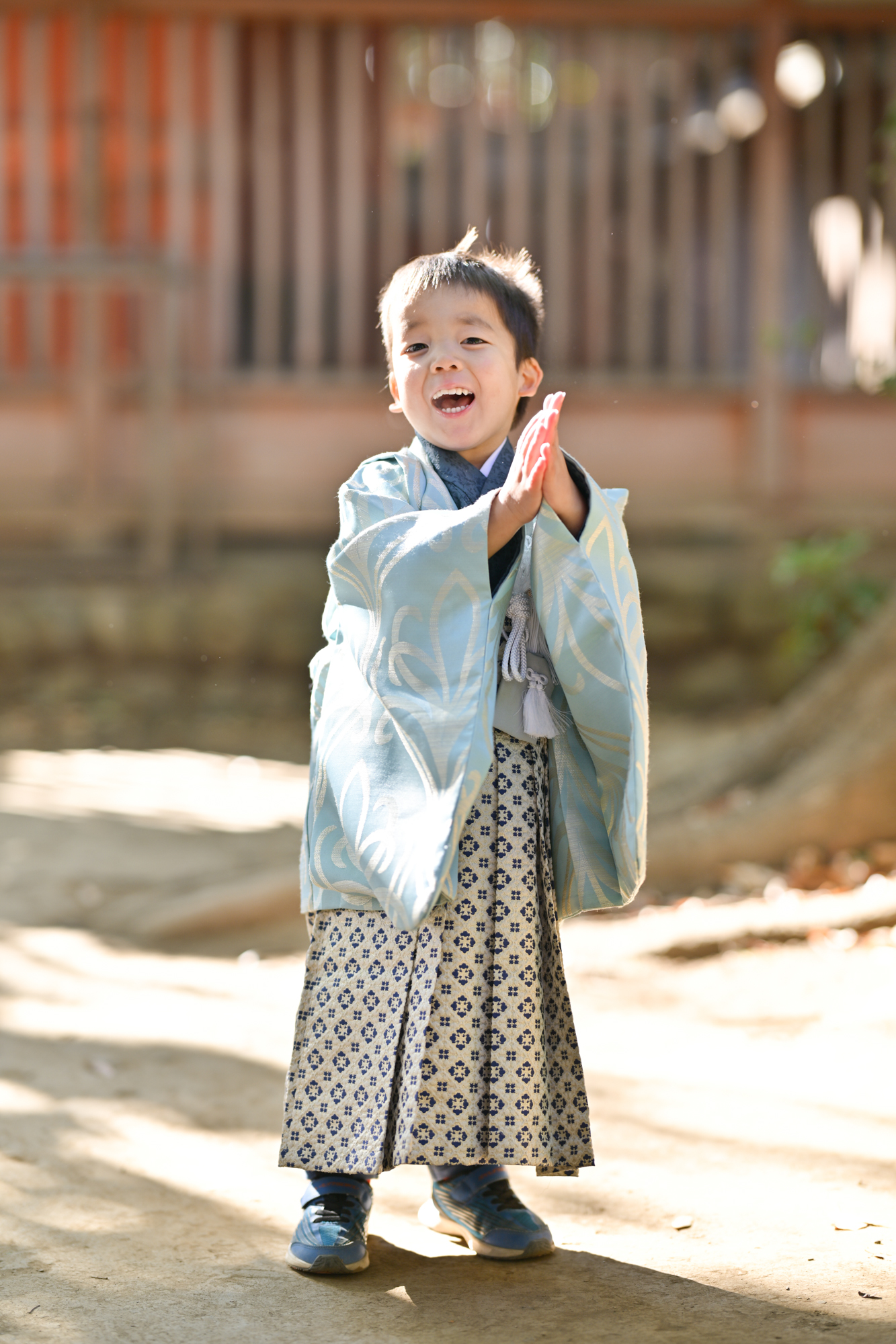画像 冬の柔らかな光に包まれて撮影した、川越氷川神社の3歳男の子の七五三袴姿