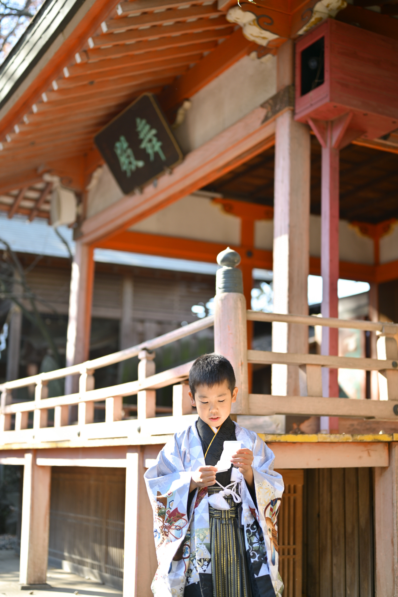 画像 きれいな光が差し込む川越氷川神社の舞殿の下で、おみくじの結果をじっと見つめる七五三の男の子