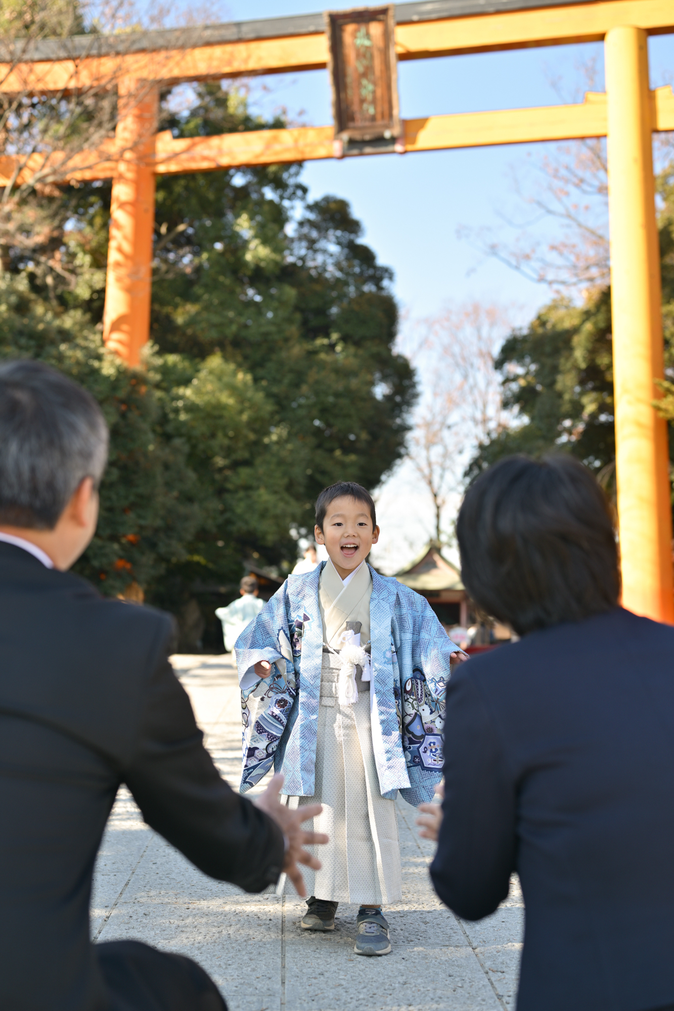 画像 混雑が落ち着いた12月の川越氷川神社。大鳥居をバックにパパとママへ走り寄る七五三の男の子