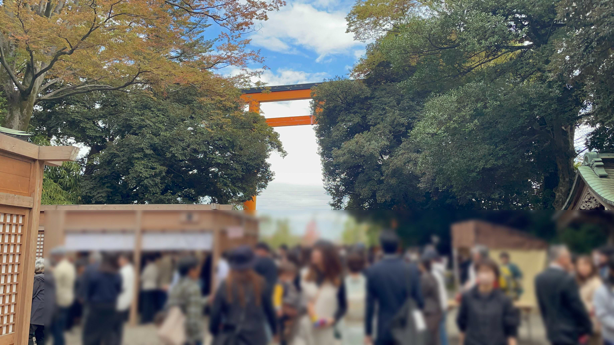 画像 川越氷川神社の七五三シーズン、11月ピーク時の非常に混雑した境内の様子