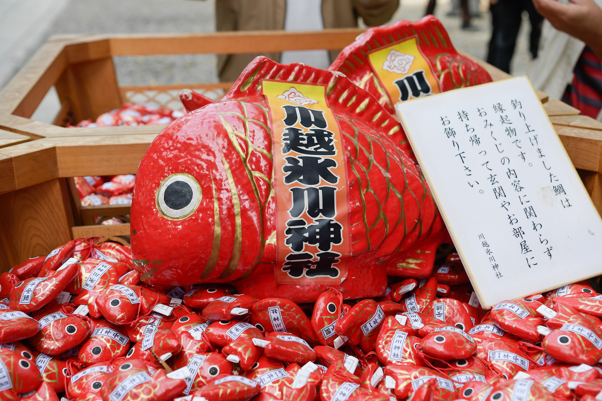 画像 川越氷川神社の赤い鯛みくじ