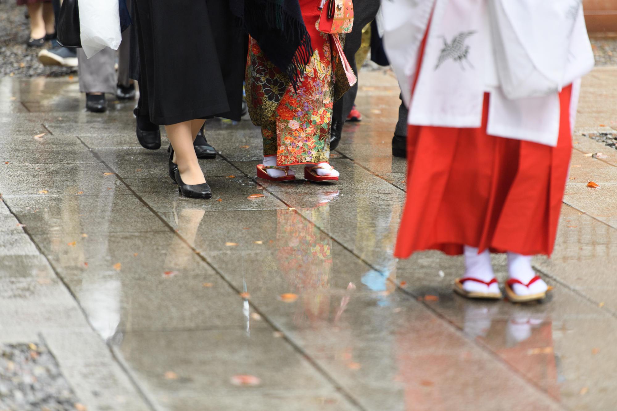画像 雨に濡れてしっとりと輝く川越氷川神社の参道と七五三の子供の足
