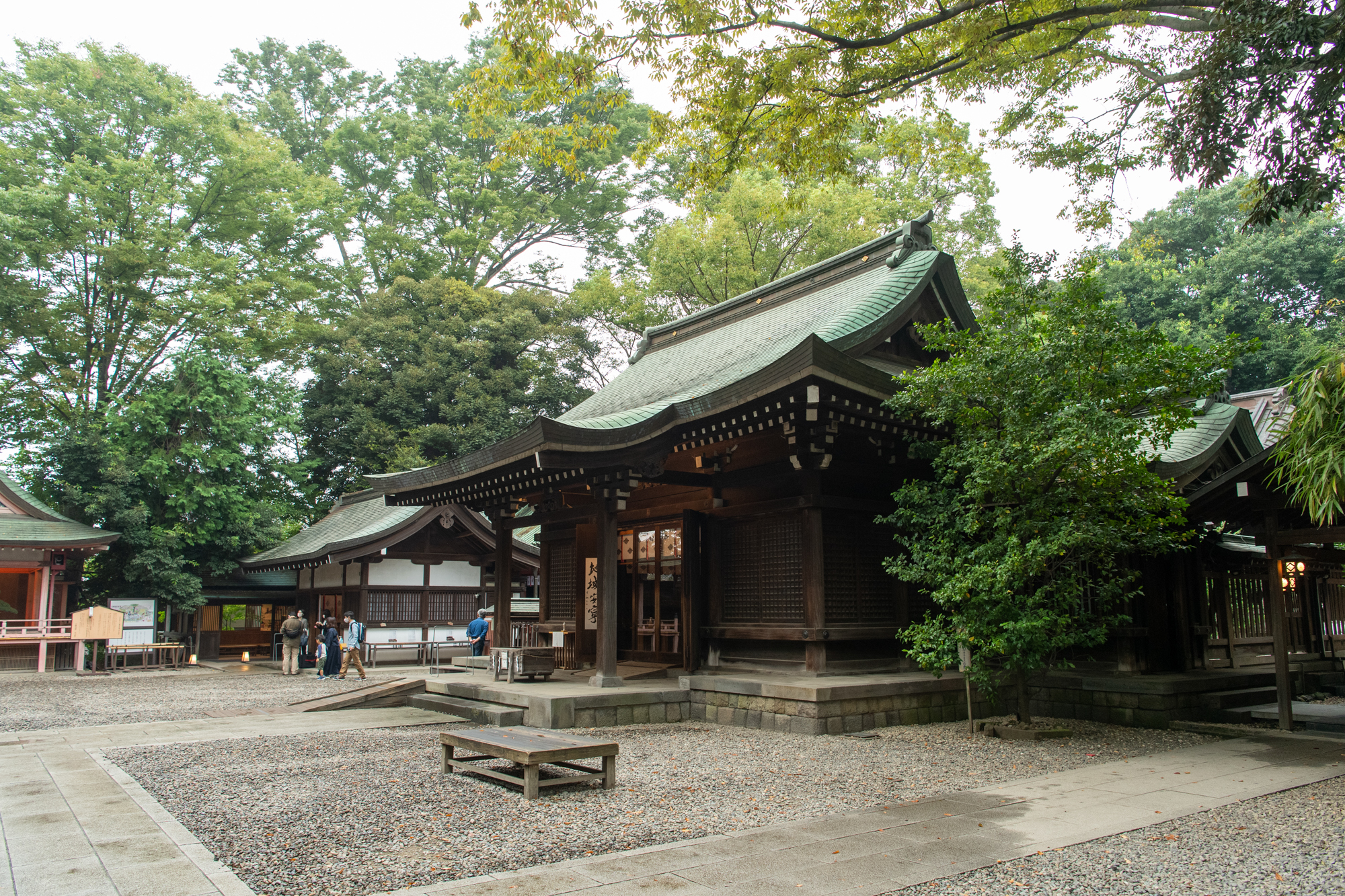 画像 川越氷川神社の本殿。神聖な静けさが漂う冬の日の記念写真