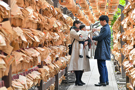 3月の川越氷川神社でお宮参り写真。大きくなったお姉ちゃんと迎えた春の日