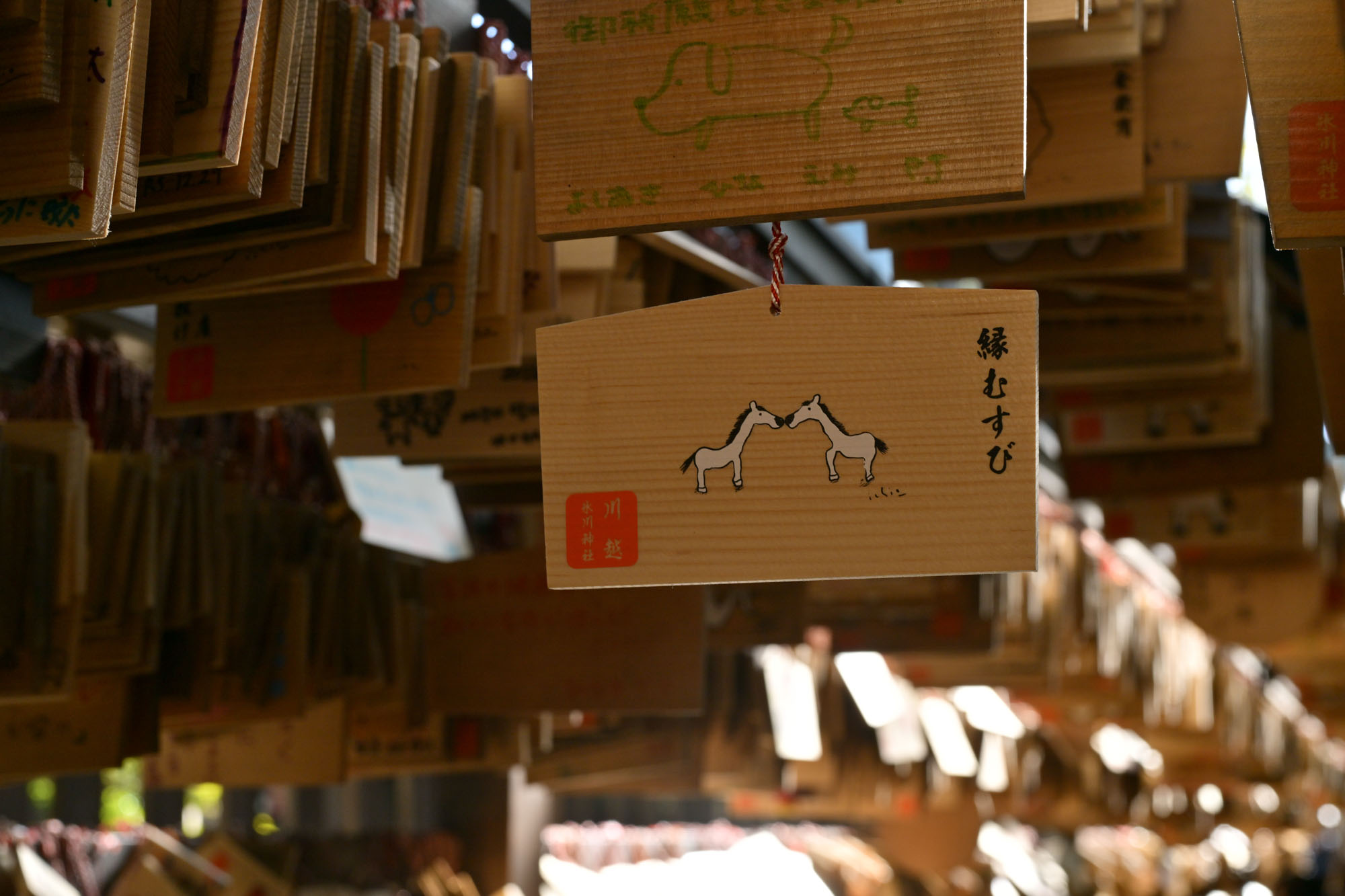 画像 川越氷川神社の平成8年午年の絵馬が絵馬トンネルにぶら下がっている