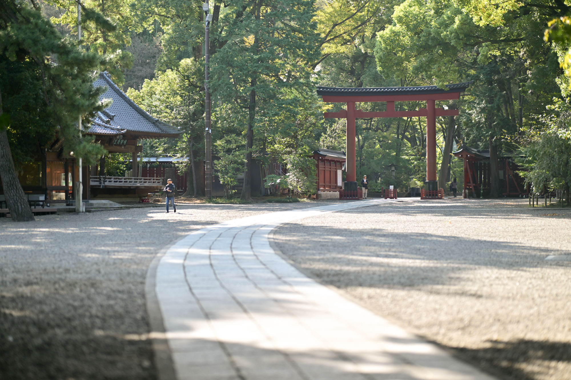 画像 朝の清々しい感じの大宮氷川神社の三の鳥居から伸びる長い参道