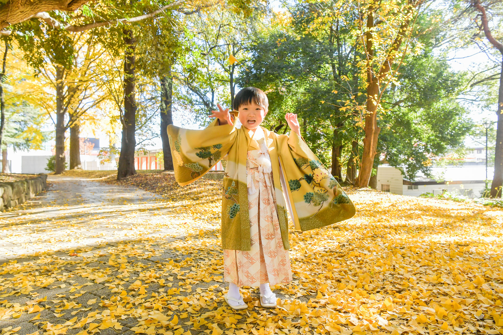 大宮氷川神社の七五三季節感がある写真