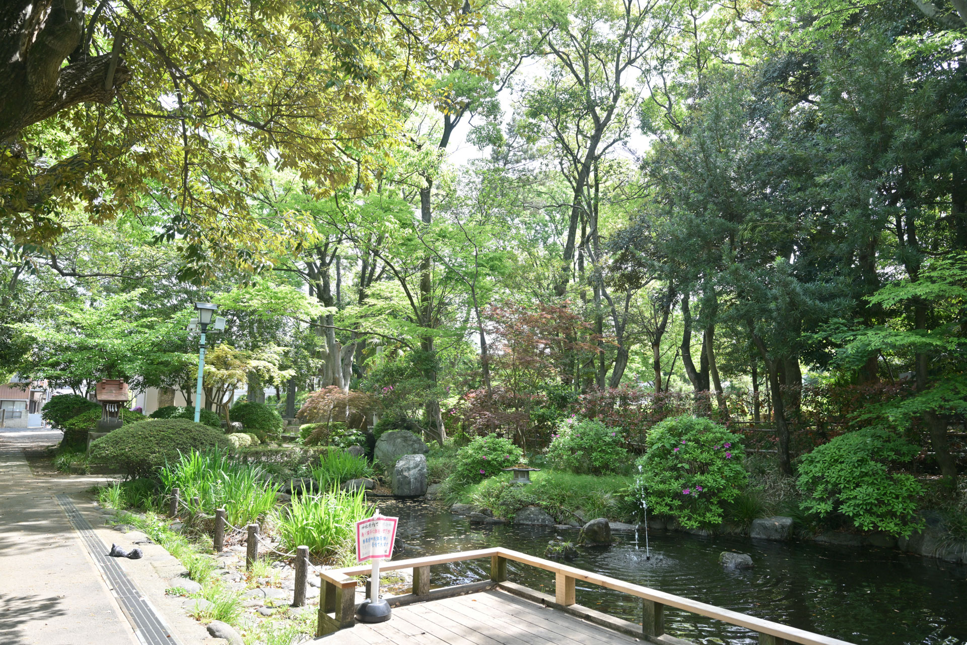 和樂備神社横にある池