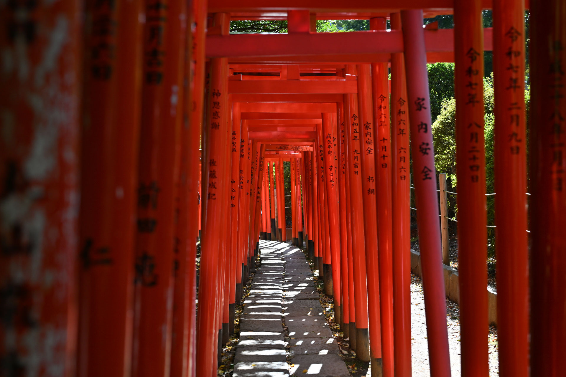 根津神社でお宮参り出張撮影｜東京都文京区の写真