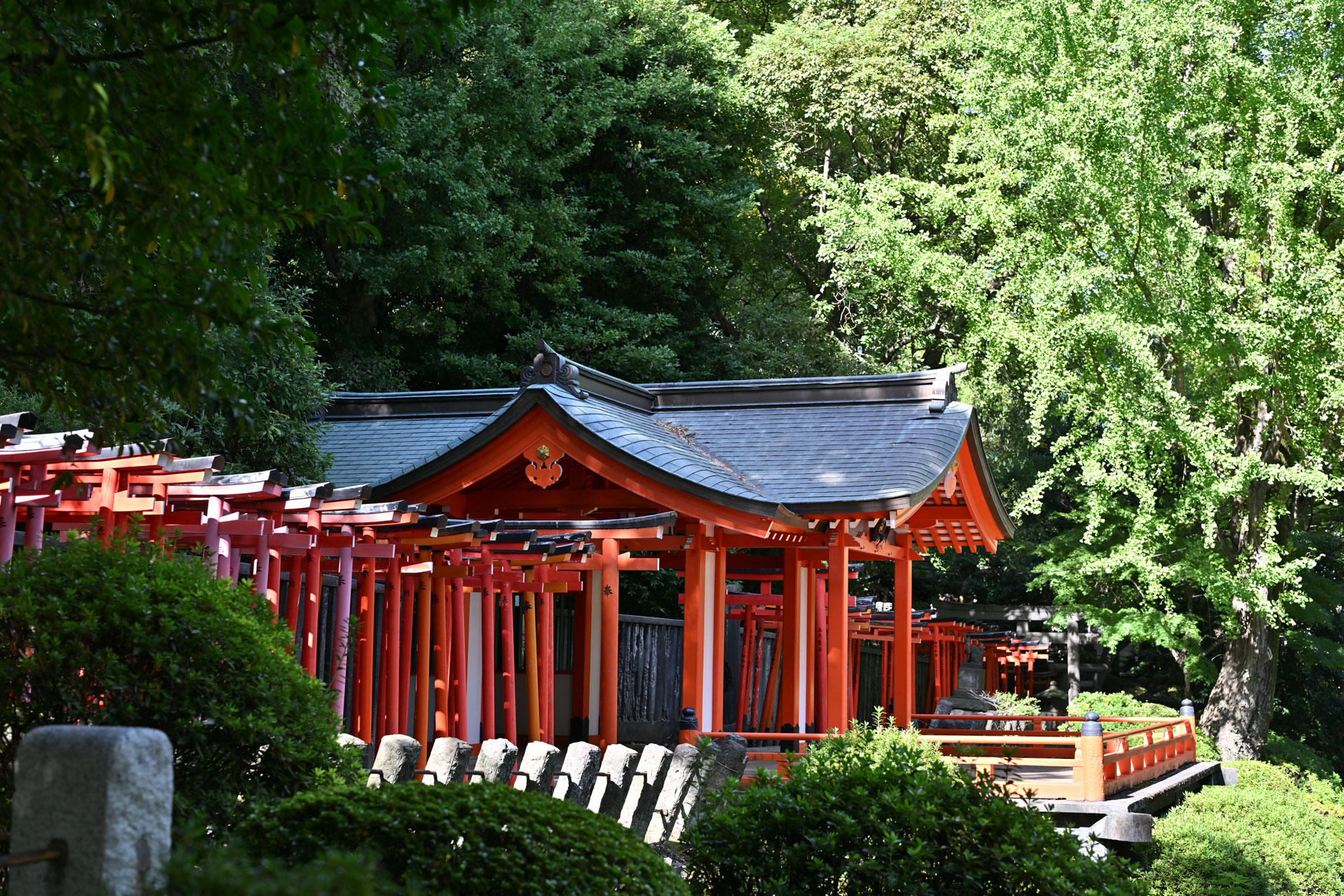 根津神社でお宮参り出張撮影｜東京都文京区の写真