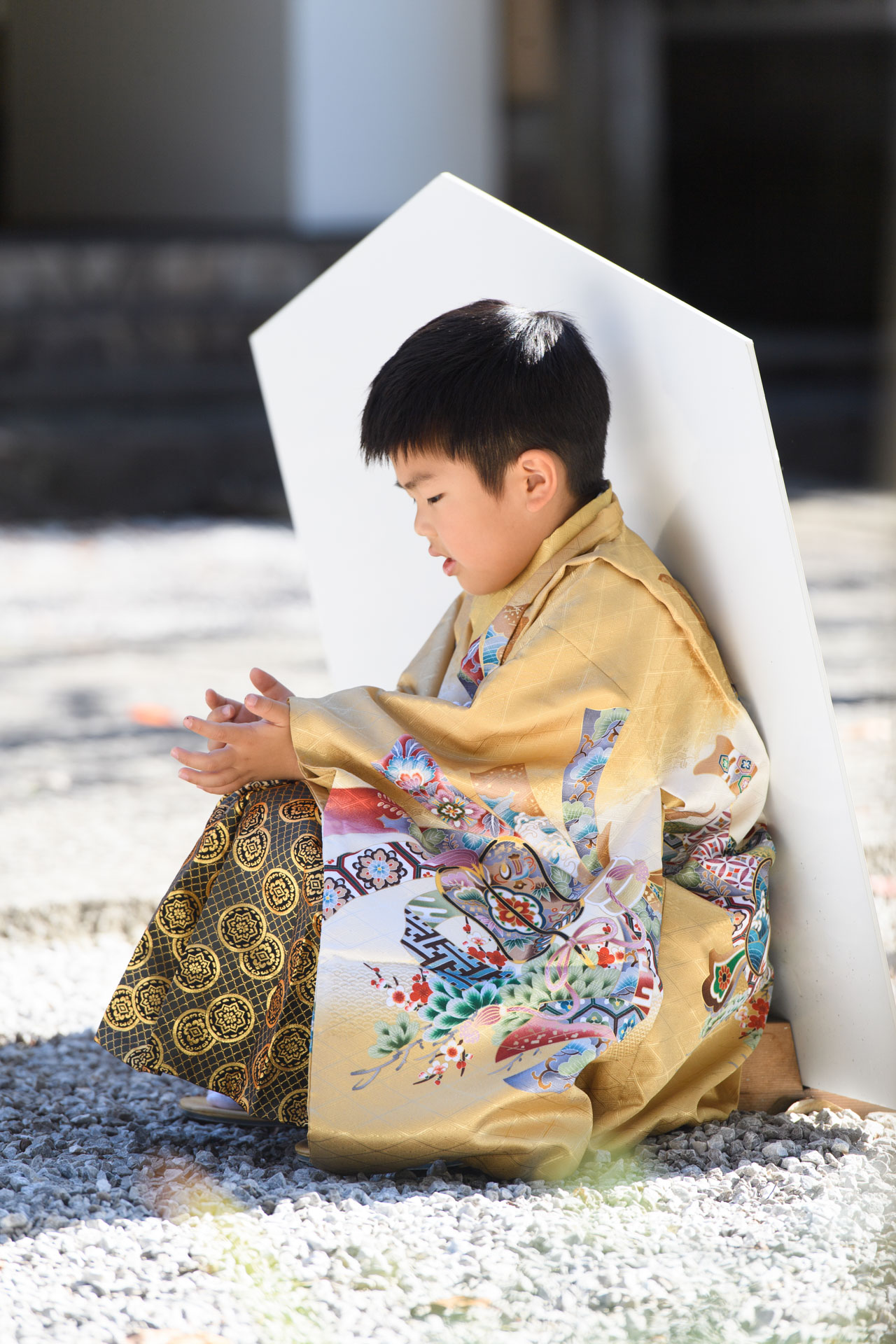 所澤神明社で七五三出張撮影｜埼玉県所沢市の写真