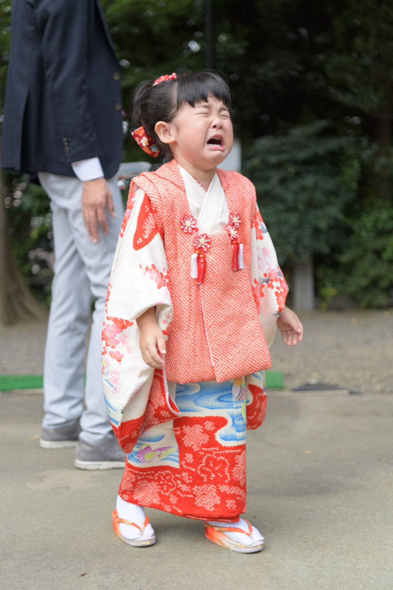 所澤神明社の七五三｜3人兄弟とご家族みんなでにぎやかな一日の写真