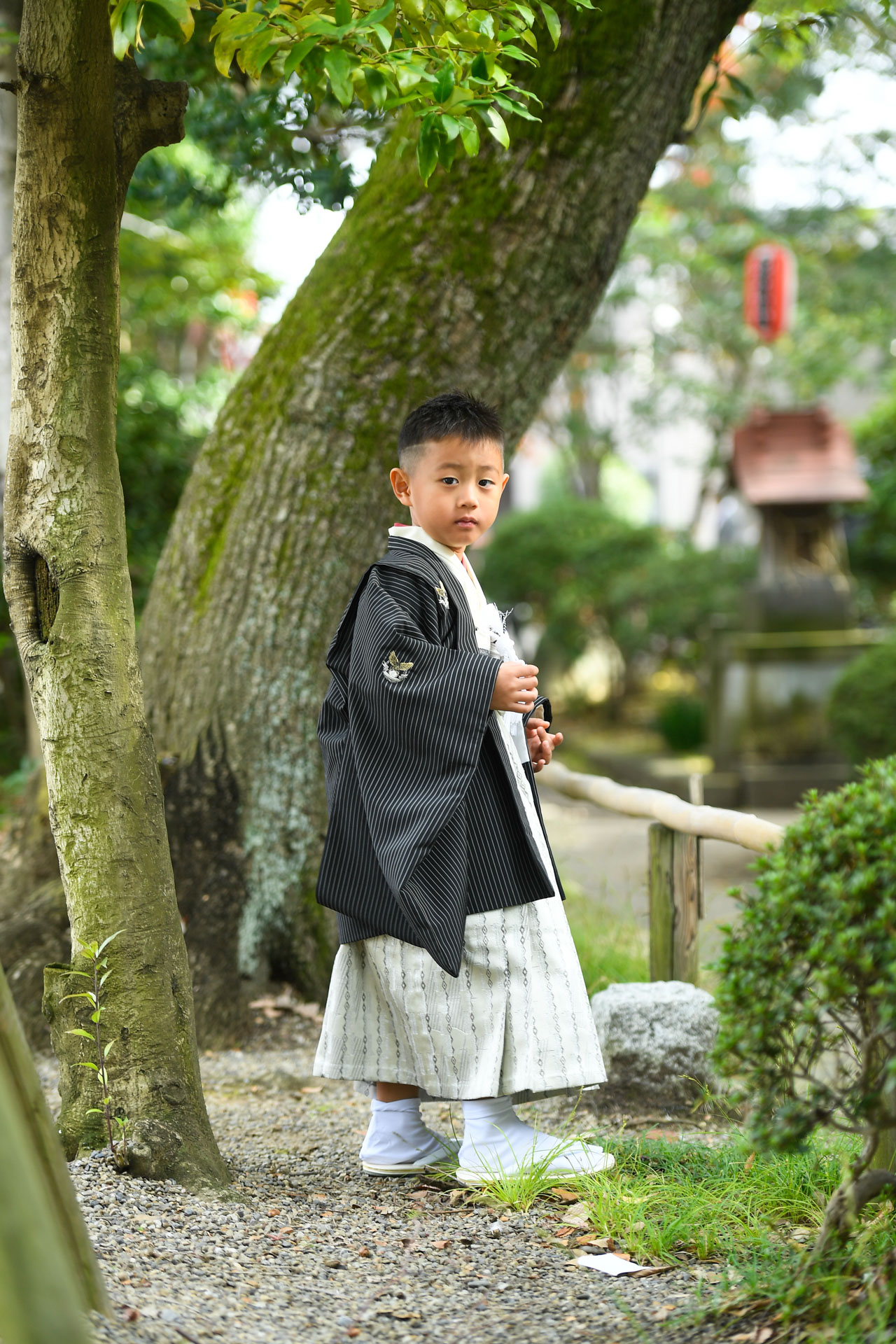 和楽備神社で七五三出張撮影｜埼玉県蕨市の写真