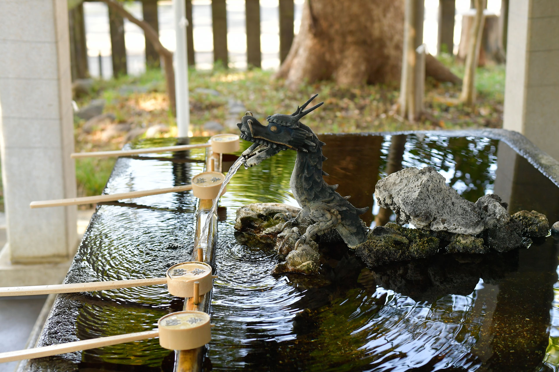 和楽備神社で七五三出張撮影｜埼玉県蕨市の写真