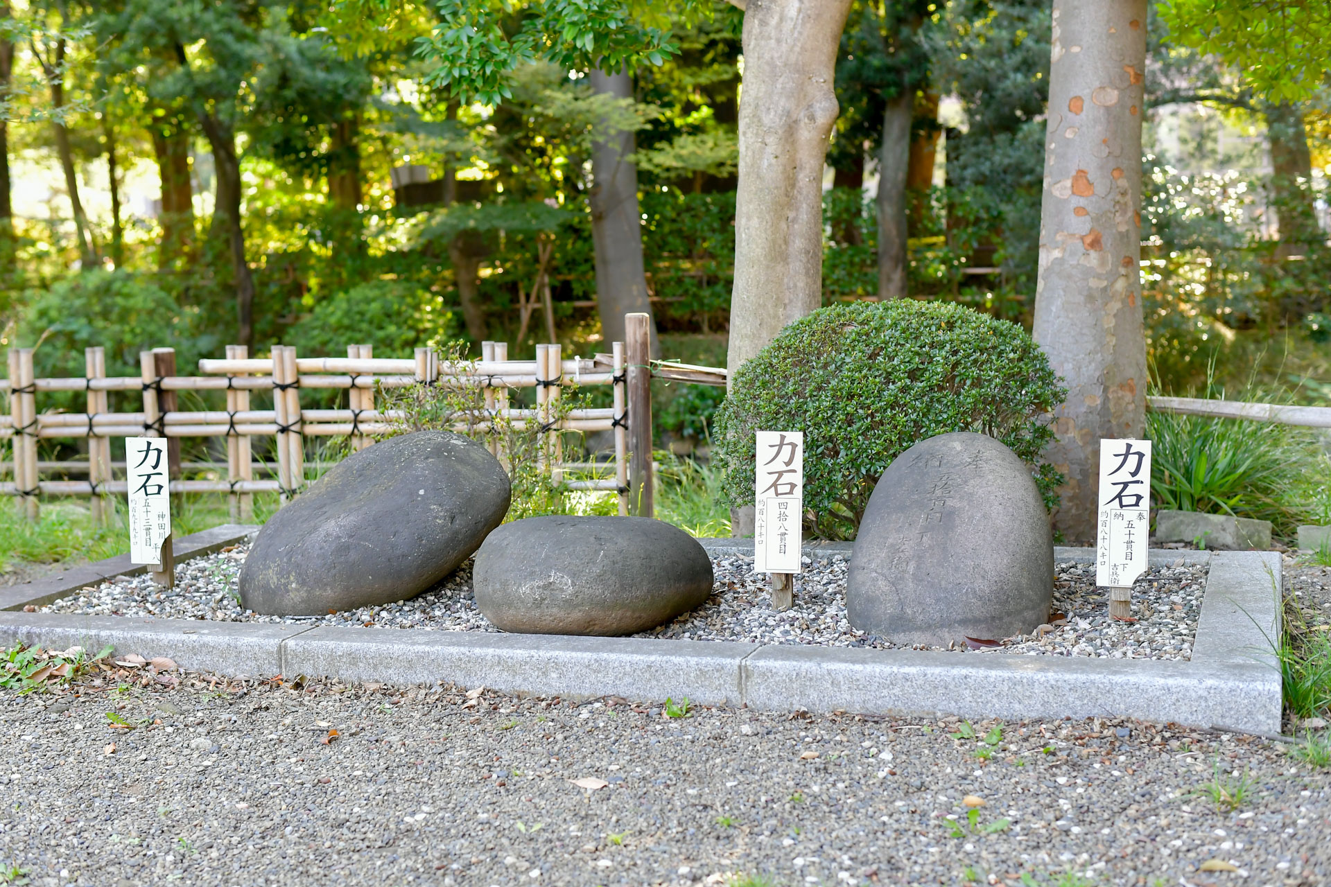 和楽備神社で七五三出張撮影｜埼玉県蕨市の写真